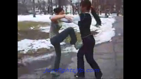 In the Park in the Snow  (jfp25019)