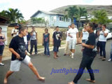 Hawaiian Streetfight (JFP 19061)
