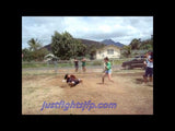 Skilled fight in Oahu (JFP 18021)