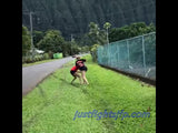 Incredible Walk up in Hawaii  (JFP 19040)